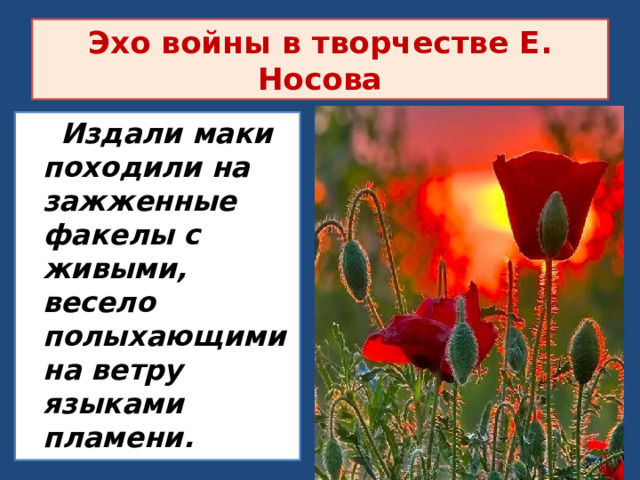 Эхо войны в творчестве Е. Носова Издали маки походили на зажженные факелы с живыми, весело полыхающими на ветру языками пламени. 