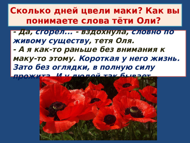 Сколько дней цвели маки? Как вы понимаете слова тёти Оли? - Да, сгорел... - вздохнула, словно по живому существу , тетя Оля.  - А я как-то раньше без внимания к маку-то этому. Короткая у него жизнь. Зато без оглядки, в полную силу прожита.  И у людей так бывает... 