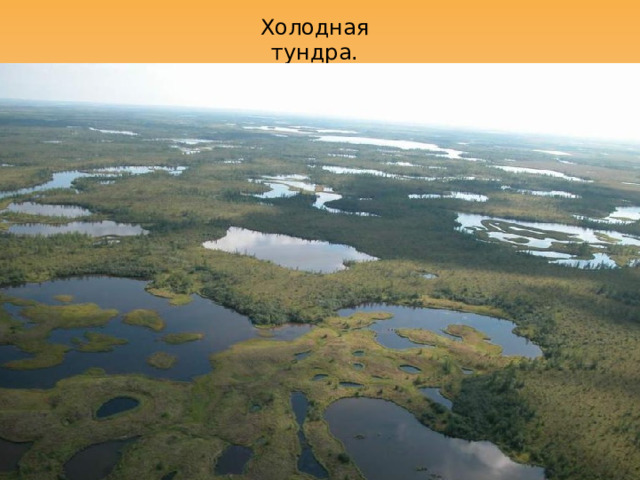 Холодная тундра. 