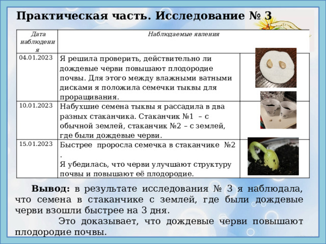 Практическая часть. Исследование № 3  Дата наблюдения Наблюдаемые явления 04.01.2023 Я решила проверить, действительно ли дождевые черви повышают плодородие почвы. Для этого между влажными ватными дисками я положила семечки тыквы для проращивания. 10.01.2023 Набухшие семена тыквы я рассадила в два разных стаканчика. Стаканчик №1 – с обычной землей, стаканчик №2 – с землей, где были дождевые черви. 15.01.2023 Быстрее проросла семечка в стаканчике №2 . Я убедилась, что черви улучшают структуру почвы и повышают её плодородие.  Вывод: в результате исследования № 3 я наблюдала, что семена в стаканчике с землей, где были дождевые черви взошли быстрее на 3 дня.  Это доказывает, что дождевые черви повышают плодородие почвы. 
