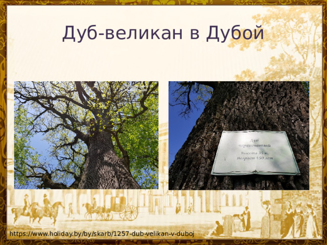 Дуб-великан в Дубой    https://www.holiday.by/by/skarb/1257-dub-velikan-v-duboj 
