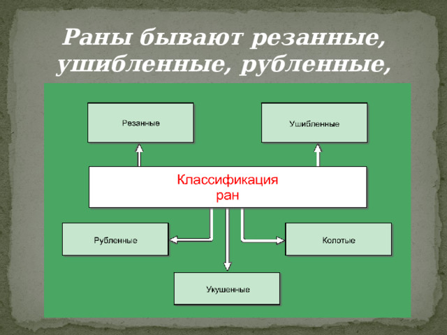 Раны бывают резанные, ушибленные, рубленные, колотые, укушенные. 