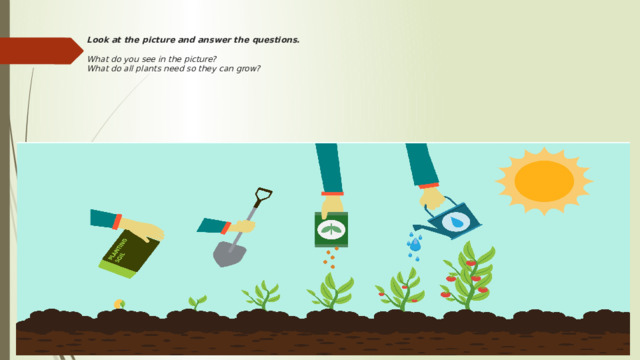 Look at the picture and answer the questions.   What do you see in the picture?  What do all plants need so they can grow? 