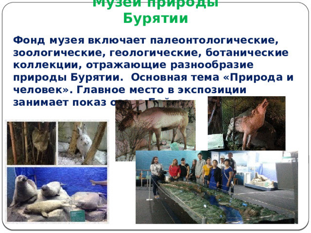 Музей природы Бурятии Фонд музея включает палеонтологические, зоологические, геологические, ботанические коллекции, отражающие разнообразие природы Бурятии. Основная тема «Природа и человек». Главное место в экспозиции занимает показ озера Байкал. 