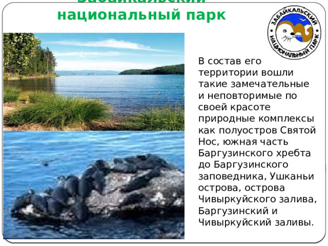 Забайкальский национальный парк В состав его территории вошли такие замечательные и неповторимые по своей красоте природные комплексы как полуостров Святой Нос, южная часть Баргузинского хребта до Баргузинского заповедника, Ушканьи острова, острова Чивыркуйского залива, Баргузинский и Чивыркуйский заливы. 