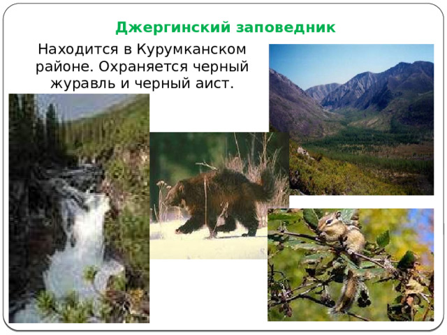 Джергинский заповедник Находится в Курумканском районе. Охраняется черный журавль и черный аист. 