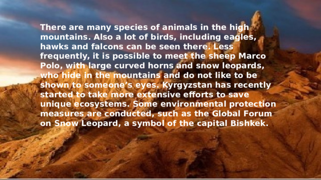 There are many species of animals in the high mountains. Also a lot of birds, including eagles, hawks and falcons can be seen there. Less frequently, it is possible to meet the sheep Marco Polo, with large curved horns and snow leopards, who hide in the mountains and do not like to be shown to someone’s eyes. Kyrgyzstan has recently started to take more extensive efforts to save unique ecosystems. Some environmental protection measures are conducted, such as the Global Forum on Snow Leopard, a symbol of the capital Bishkek. 