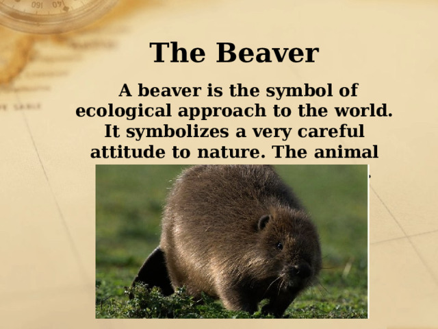 The Beaver  A beaver is the symbol of ecological approach to the world. It symbolizes a very careful attitude to nature. The animal can live only in clean waters. 