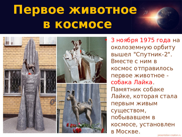 Первое животное  в космосе 3 ноября 1975 года на околоземную орбиту вышел 