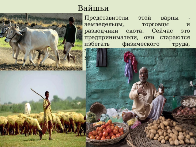 Вайшьи Представители этой варны - земледельцы, торговцы и разводчики скота. Сейчас это предприниматели, они стараются избегать физического труда, занимаясь торговлей и управлением хозяйства. 