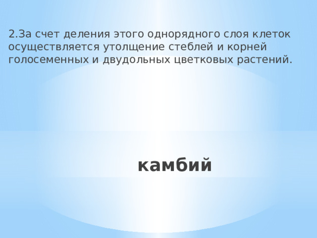 2.За счет деления этого однорядного слоя клеток осуществляется утолщение стеблей и корней голосеменных и двудольных цветковых растений. камбий 