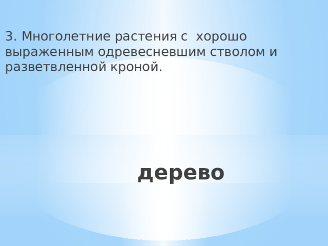 3.  Многолетние растения с хорошо выраженным одревесневшим стволом и разветвленной кроной. дерево 