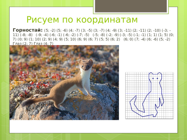 Рисуем по координатам Горностай: (5; -2) (5; -6) (4; -7) (3; -5) (3; -7) (4; -9) (3; -11) (2; -11) (2; -10) (-3; -11) (-8; -8) (-9; -4) (-6; -1) (-6; -2) (-7; -5)   (-5; -8) (-2; -9) (-3; -5) (-1; -1) (1; 1) (1; 5) (0; 7) (0; 9) (1; 10) (2; 9) (4; 9) (5; 10) (6; 9) (6; 7) (5; 5) (6; 2)   (6; 0) (7; -4) (6; -6) (5; -2) Глаз (2; 7) Глаз (4; 7) 