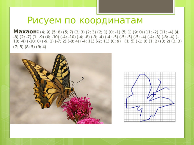 Рисуем по координатам Махаон: (4; 9) (5; 8) (5; 7) (3; 3) (2; 3) (2; 1) (0; -1) (5; 1) (9; 0) (11; -2) (11; -4) (4; -8) (2; -7) (1; -9) (0; -10) (-4; -10) (-4; -8) (-3; -4) (-4; -5) (-5; -5) (-5; -4) (-4; -3) (-8; -4) (-10; -4) (-10; 0) (-9; 1) (-7; 2) (-8; 4) (-4; 11) (-2; 11) (0; 9)   (1; 5) (-1; 0) (1; 2) (3; 2) (3; 3) (7; 5) (8; 5) (9; 4)   