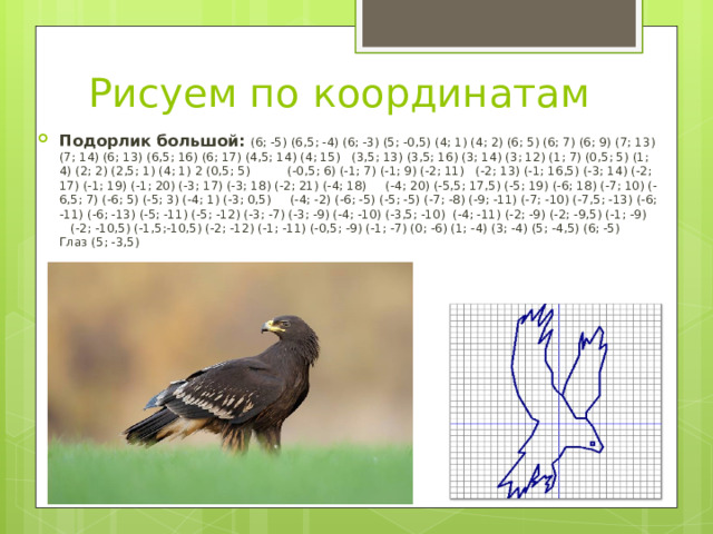 Рисуем по координатам Подорлик большой: (6; -5) (6,5; -4) (6; -3) (5; -0,5) (4; 1) (4; 2) (6; 5) (6; 7) (6; 9) (7; 13) (7; 14) (6; 13) (6,5; 16) (6; 17) (4,5; 14) (4; 15)   (3,5; 13) (3,5; 16) (3; 14) (3; 12) (1; 7) (0,5; 5) (1; 4) (2; 2) (2,5; 1) (4; 1) 2 (0,5; 5) (-0,5; 6) (-1; 7) (-1; 9) (-2; 11) (-2; 13) (-1; 16,5) (-3; 14) (-2; 17) (-1; 19) (-1; 20) (-3; 17) (-3; 18) (-2; 21) (-4; 18) (-4; 20) (-5,5; 17,5) (-5; 19) (-6; 18) (-7; 10) (-6,5; 7) (-6; 5) (-5; 3) (-4; 1) (-3; 0,5) (-4; -2) (-6; -5) (-5; -5) (-7; -8) (-9; -11) (-7; -10) (-7,5; -13) (-6; -11) (-6; -13) (-5; -11) (-5; -12) (-3; -7) (-3; -9) (-4; -10) (-3,5; -10) (-4; -11) (-2; -9) (-2; -9,5) (-1; -9) (-2; -10,5) (-1,5;-10,5) (-2; -12) (-1; -11) (-0,5; -9) (-1; -7) (0; -6) (1; -4) (3; -4) (5; -4,5) (6; -5) Глаз (5; -3,5)     