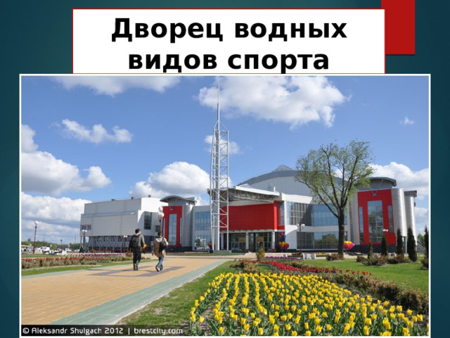 Дворец водных видов спорта 