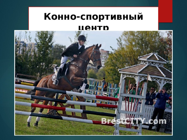  Конно-спортивный центр 