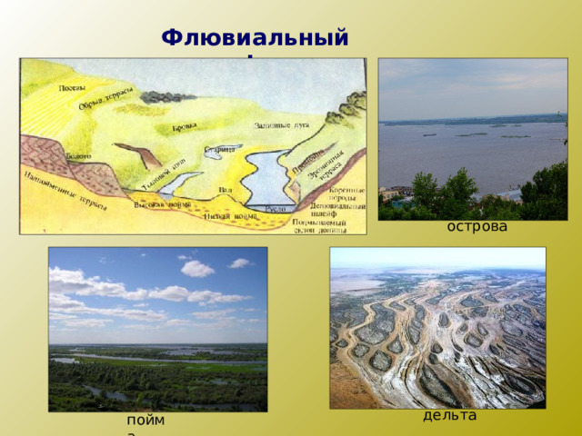 Флювиальный рельеф острова дельта пойма 