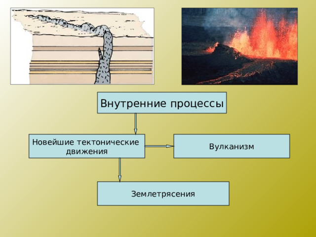 Внутренние процессы Новейшие тектонические движения Вулканизм Землетрясения 