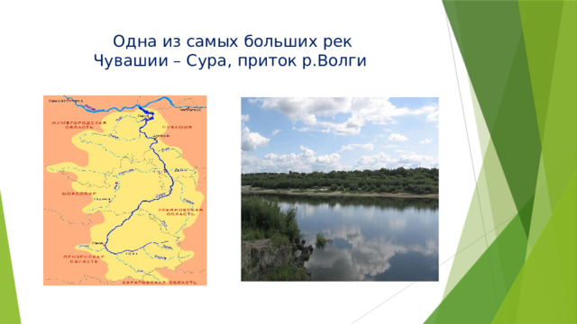 Одна из самых больших рек  Чувашии – Сура, приток р.Волги   