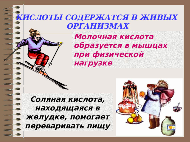 КИСЛОТЫ СОДЕРЖАТСЯ В ЖИВЫХ ОРГАНИЗМАХ Молочная кислота образуется в мышцах при физической нагрузке Соляная кислота, находящаяся в желудке, помогает переваривать пищу 