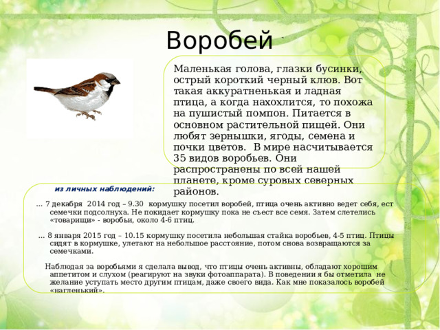 Воробей Маленькая голова, глазки бусинки, острый короткий черный клюв. Вот такая аккуратненькая и ладная птица, а когда нахохлится, то похожа на пушистый помпон. Питается в основном растительной пищей. Они любят зернышки, ягоды, семена и почки цветов.  В мире насчитывается 35 видов воробьев. Они распространены по всей нашей планете, кроме суровых северных районов.  из личных наблюдений: … 7 декабря 2014 год – 9.30 кормушку посетил воробей, птица очень активно ведет себя, ест семечки подсолнуха. Не покидает кормушку пока не съест все семя. Затем слетелись «товарищи» - воробьи, около 4-6 птиц. … 8 января 2015 год – 10.15 кормушку посетила небольшая стайка воробьев, 4-5 птиц. Птицы сидят в кормушке, улетают на небольшое расстояние, потом снова возвращаются за семечками.  Наблюдая за воробьями я сделала вывод, что птицы очень активны, обладают хорошим аппетитом и слухом (реагируют на звуки фотоаппарата). В поведении я бы отметила не желание уступать место другим птицам, даже своего вида. Как мне показалось воробей «нагленький». 