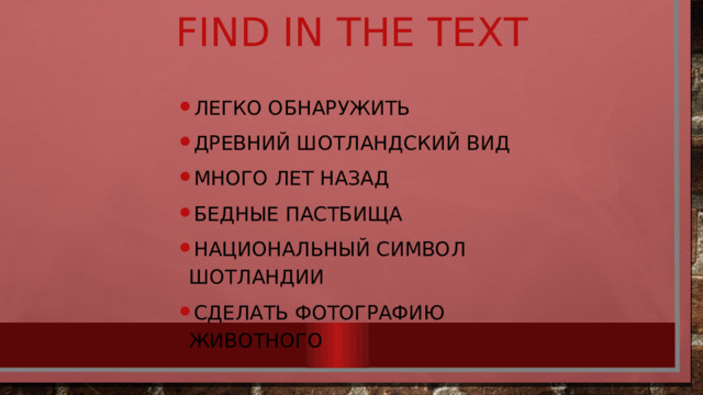 Find in the text Легко обнаружить Древний шотландский вид Много лет назад Бедные пастбища Национальный символ Шотландии Сделать фотографию животного 
