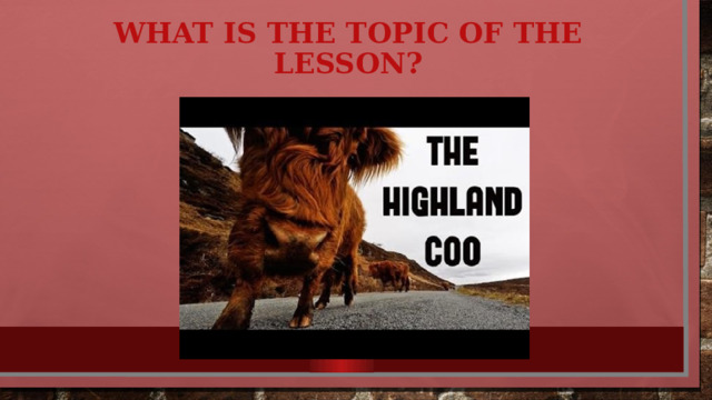 What is the topic of the lesson ? 
