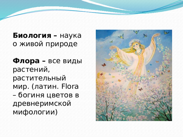 Биология – наука о живой природе  Флора – все виды растений, растительный мир. (латин. Flora – богиня цветов в древнеримской мифологии) 