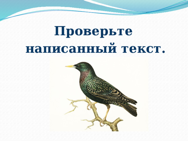 Проверьте написанный текст. 