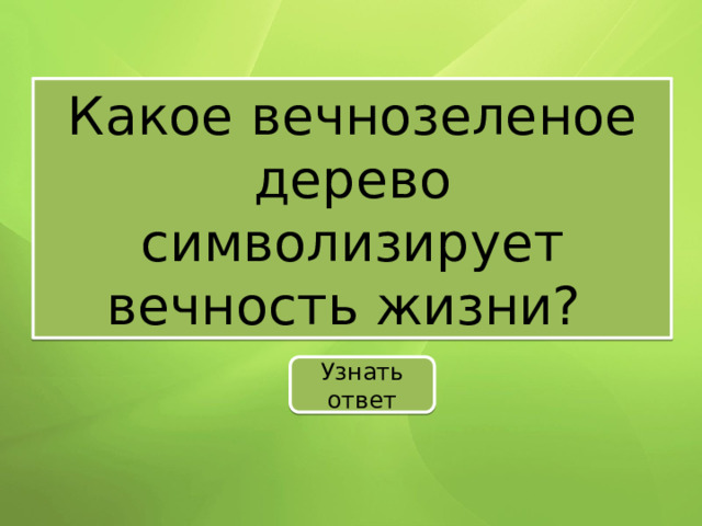 Какое вечнозеленое дерево символизирует вечность жизни? Узнать ответ 