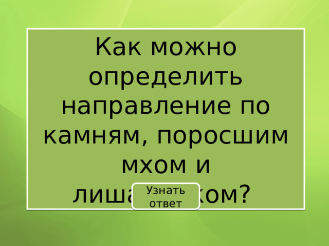 Как можно определить направление по камням, поросшим мхом и лишайником? Узнать ответ 