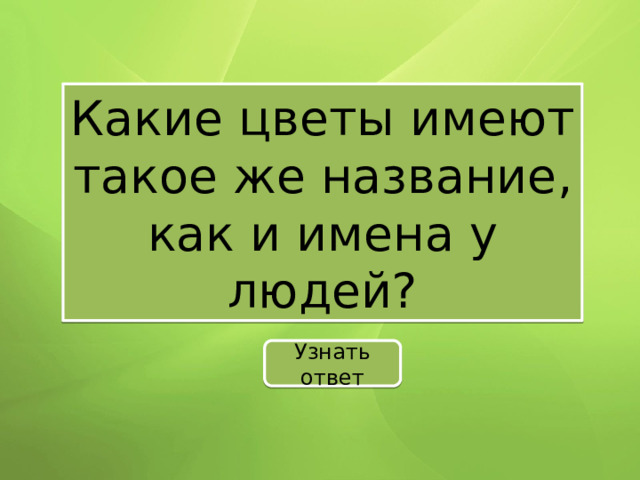 Какие цветы имеют такое же название, как и имена у людей? Узнать ответ 