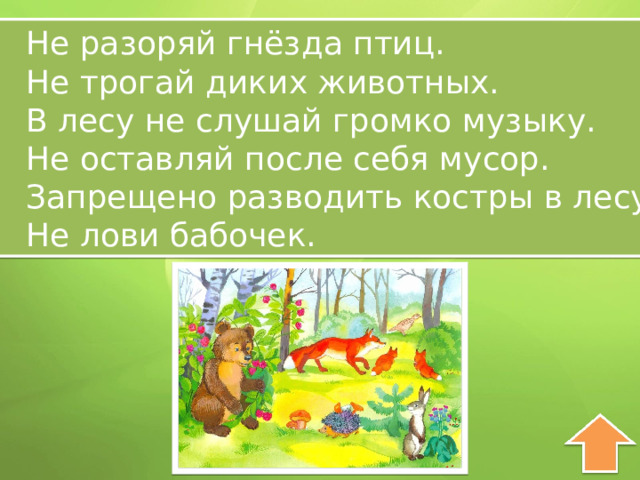 Не разоряй гнёзда птиц. Не трогай диких животных. В лесу не слушай громко музыку. Не оставляй после себя мусор. Запрещено разводить костры в лесу. Не лови бабочек. 