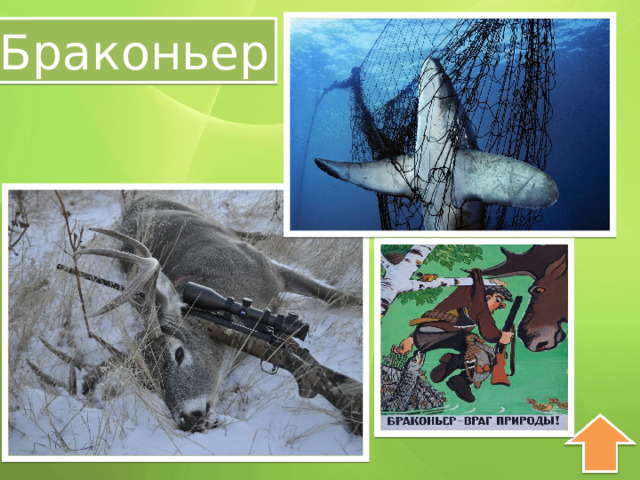 Браконьер 