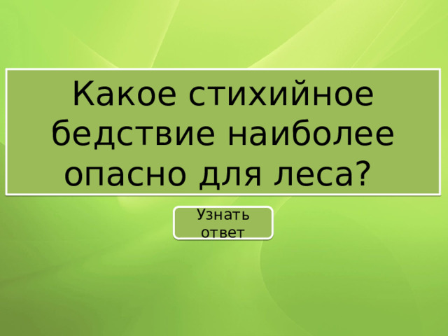 Какое стихийное бедствие наиболее опасно для леса? Узнать ответ 