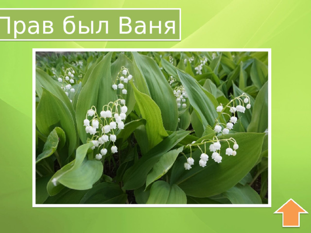 Прав был Ваня 