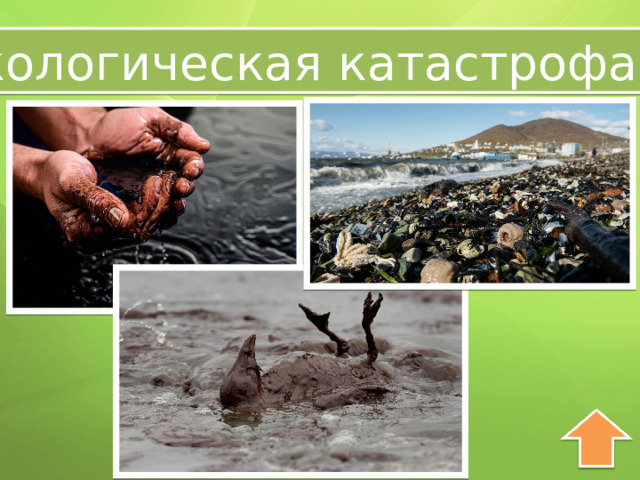 Экологическая катастрофа 