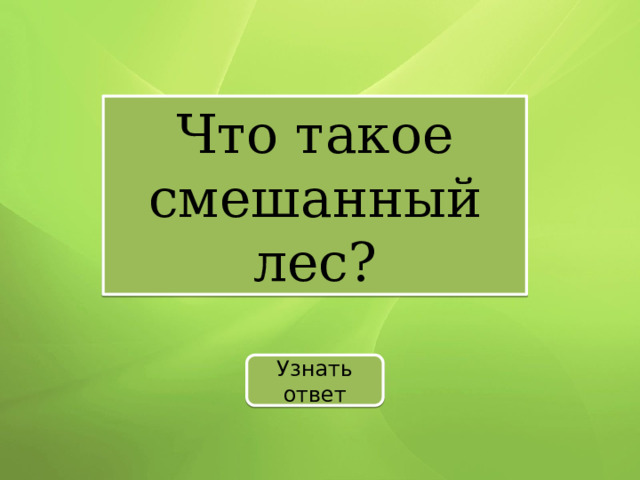 Что такое смешанный лес? Узнать ответ 