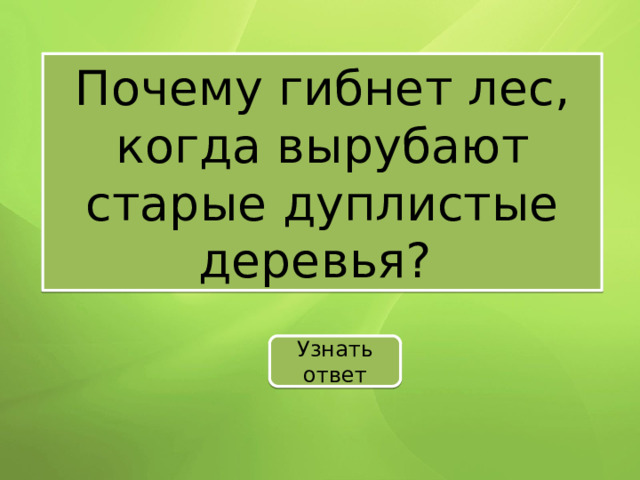 Почему гибнет лес, когда вырубают старые дуплистые деревья? Узнать ответ 
