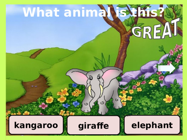 What animal is this? elephant kangaroo giraffe 