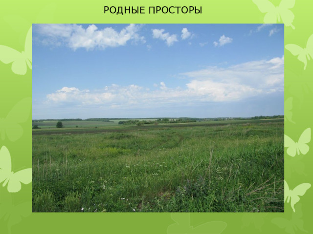 РОДНЫЕ ПРОСТОРЫ 