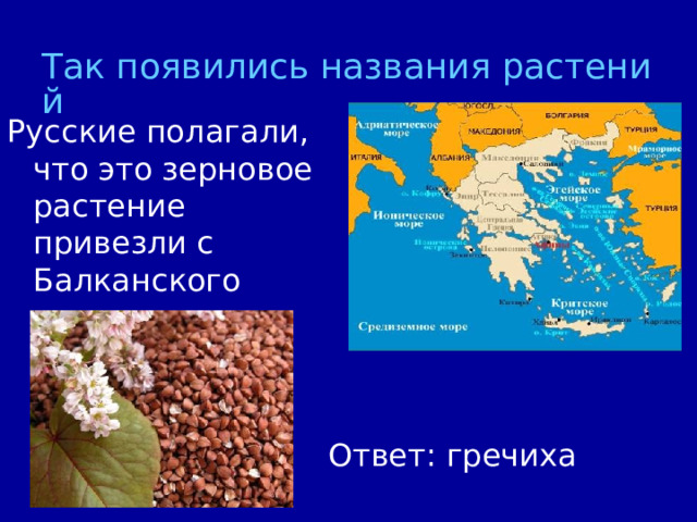 Так появились названия растений Ответ: гречиха 