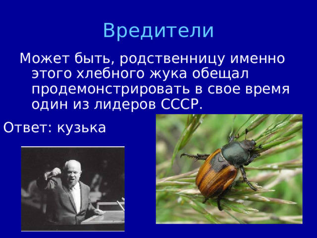 Вредители Ответ: кузька 
