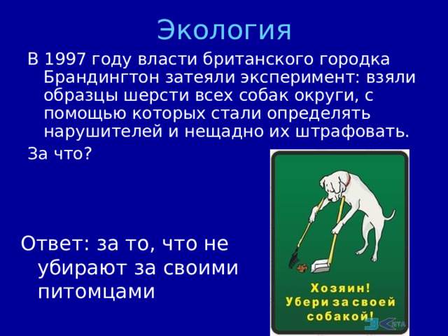 Экология В 1997 году власти британского городка Брандингтон затеяли эксперимент: взяли образцы шерсти всех собак округи, с помощью которых стали определять нарушителей и нещадно их штрафовать. За что? Ответ: за то, что не убирают за своими питомцами 