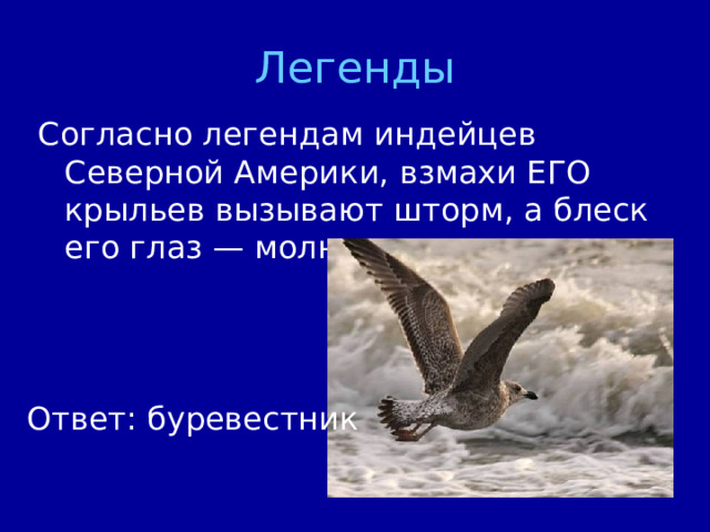 Легенды Ответ: буревестник 