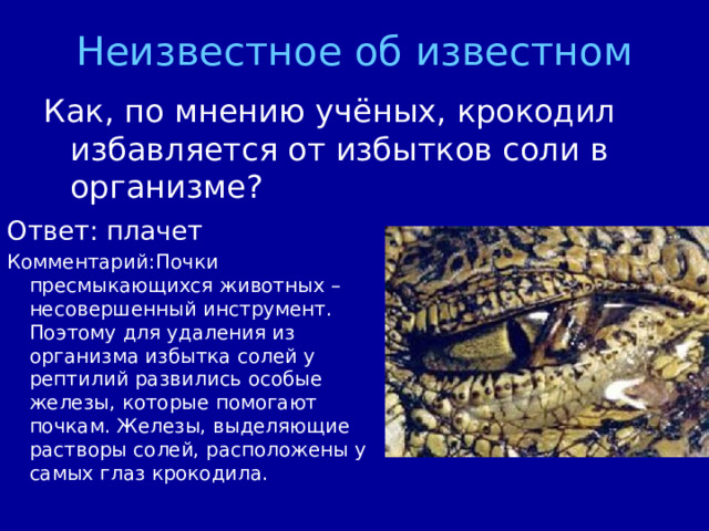 Неизвестное об известном Ответ: плачет Комментарий:Почки пресмыкающихся животных – несовершенный инструмент. Поэтому для удаления из организма избытка солей у рептилий развились особые железы, которые помогают почкам. Железы, выделяющие растворы солей, расположены у самых глаз крокодила.  