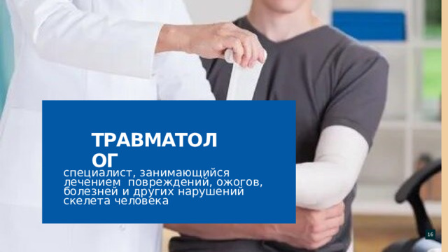 специалист, занимающийся лечением повреждений, ожогов, болезней и других нарушений скелета человека травматолог  