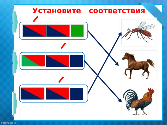 Установите соответствия 