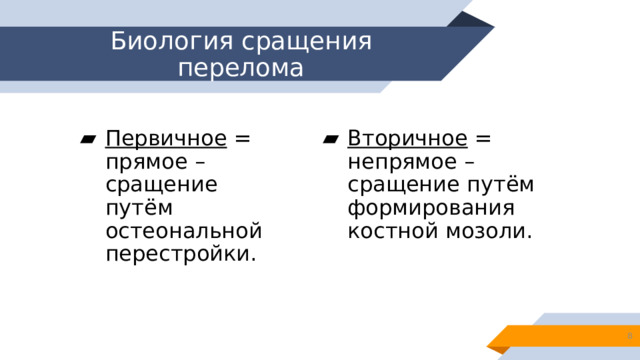 Биология сращения перелома Первичное = прямое – сращение путём остеональной перестройки. Вторичное = непрямое – сращение путём формирования костной мозоли.  